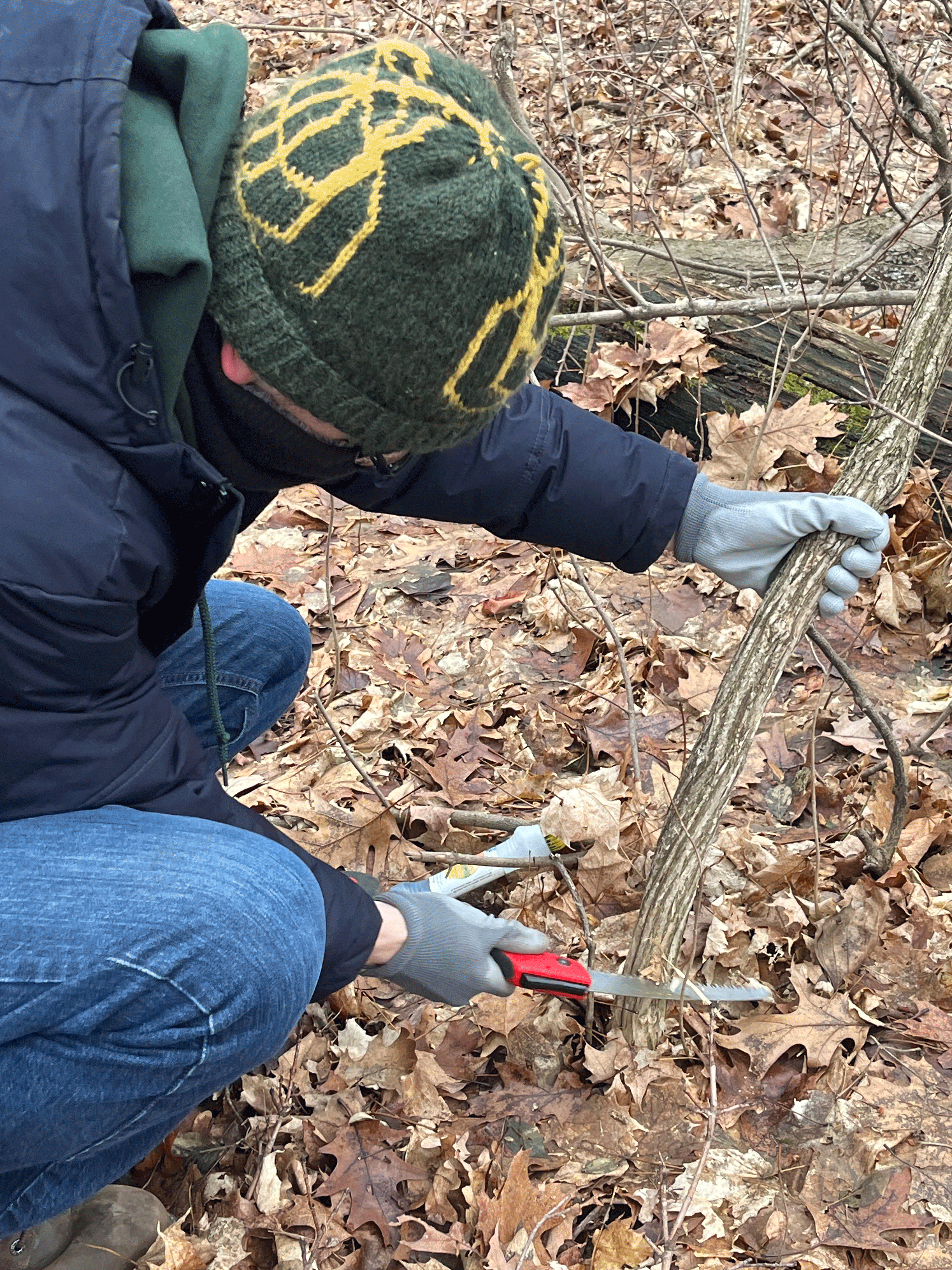 a person wearing heavy winter clothing and a knit beanie kneeling in a forest cutting a branch with a hand trimmer