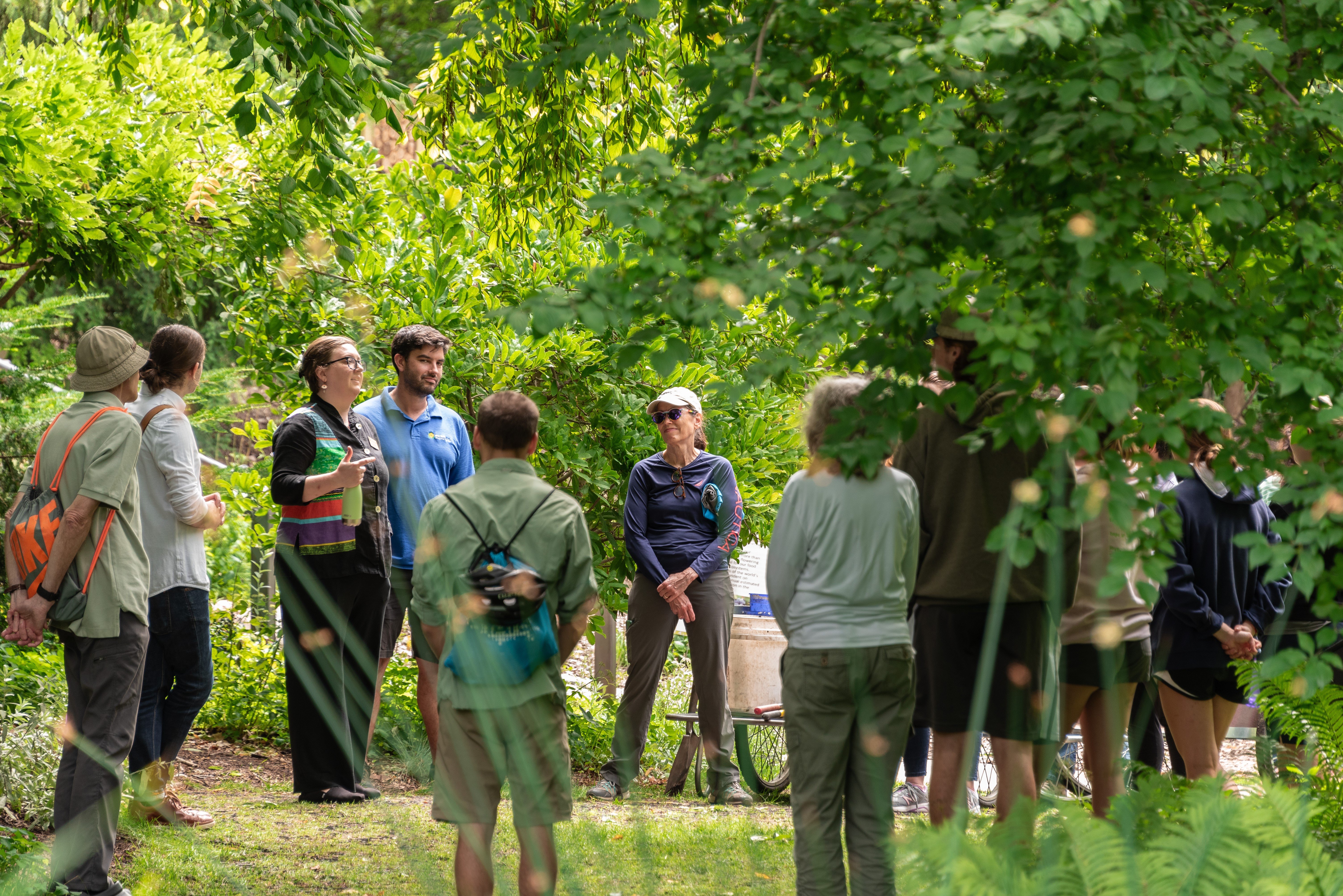 group of people gathered around a speaker in an outdoor space under trees on a sunny day