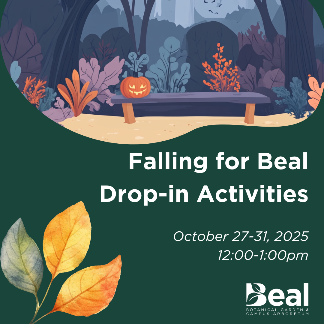 fall drop-in activities 2025 simple