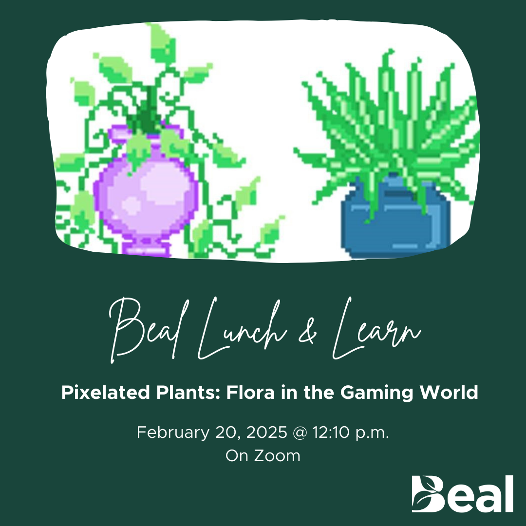promotional graphic for Beal Lunch and Learn depicting computer generated potted plants, text reads: Beal Lunch and Learn: Pixelated Plants, plants in the gaming world, February 20, 2025 from 12:10 to 1:00pm On Zoom