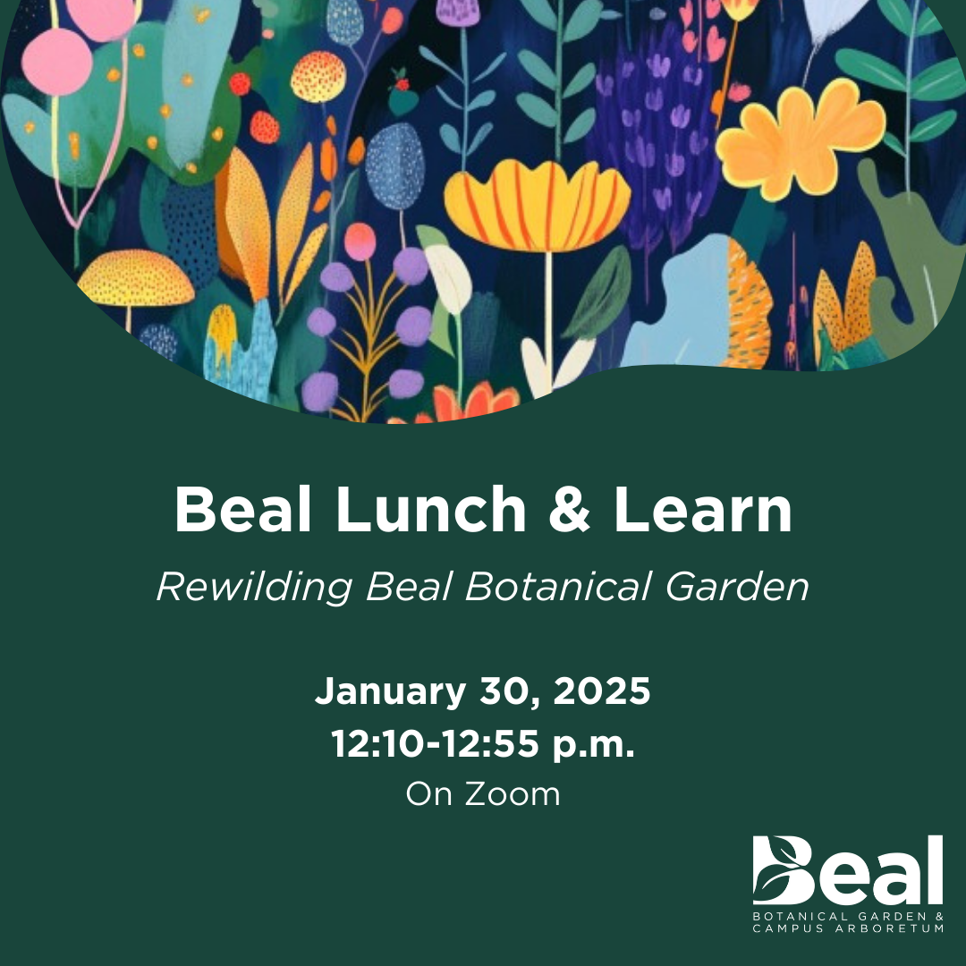digital graphic of a colorful field of flowers, text reads: "Beal Lunch and Learn Rewilding Beal Botanical Garden, January 30, 2025 at 12:10pm on zoom"