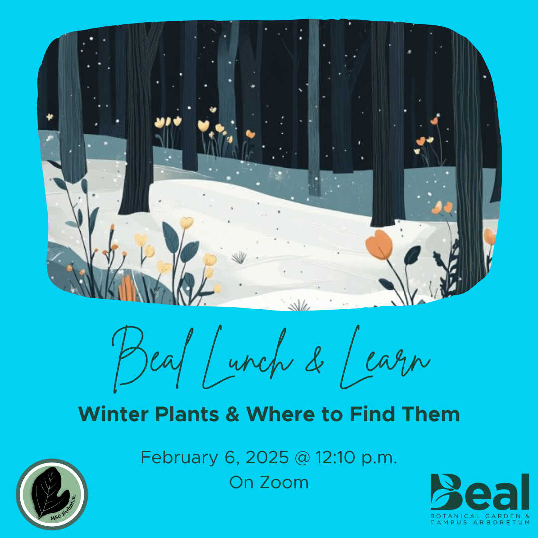 digital graphic of a winter forest, text reads: "Beal Lunch and Learn Winter Plants and Where to Find Them, February 6, 2025 at 12:10pm on zoom"