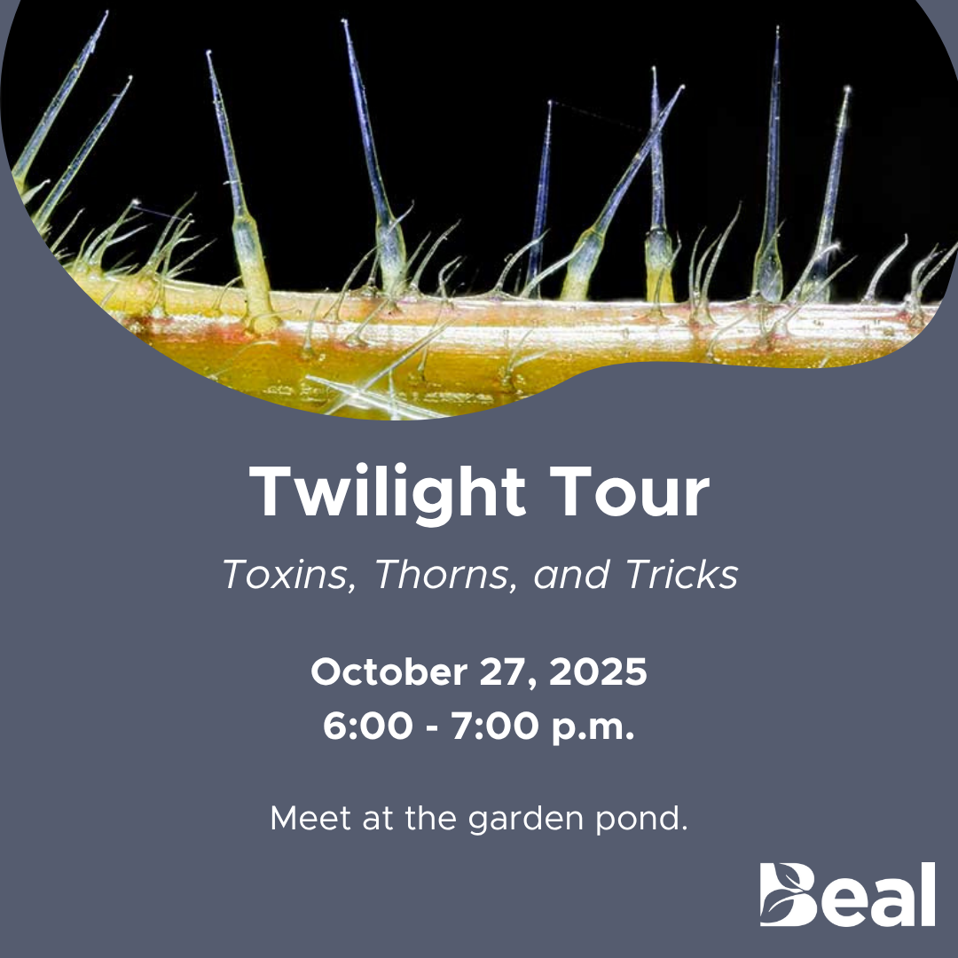 October 27 twilight tour