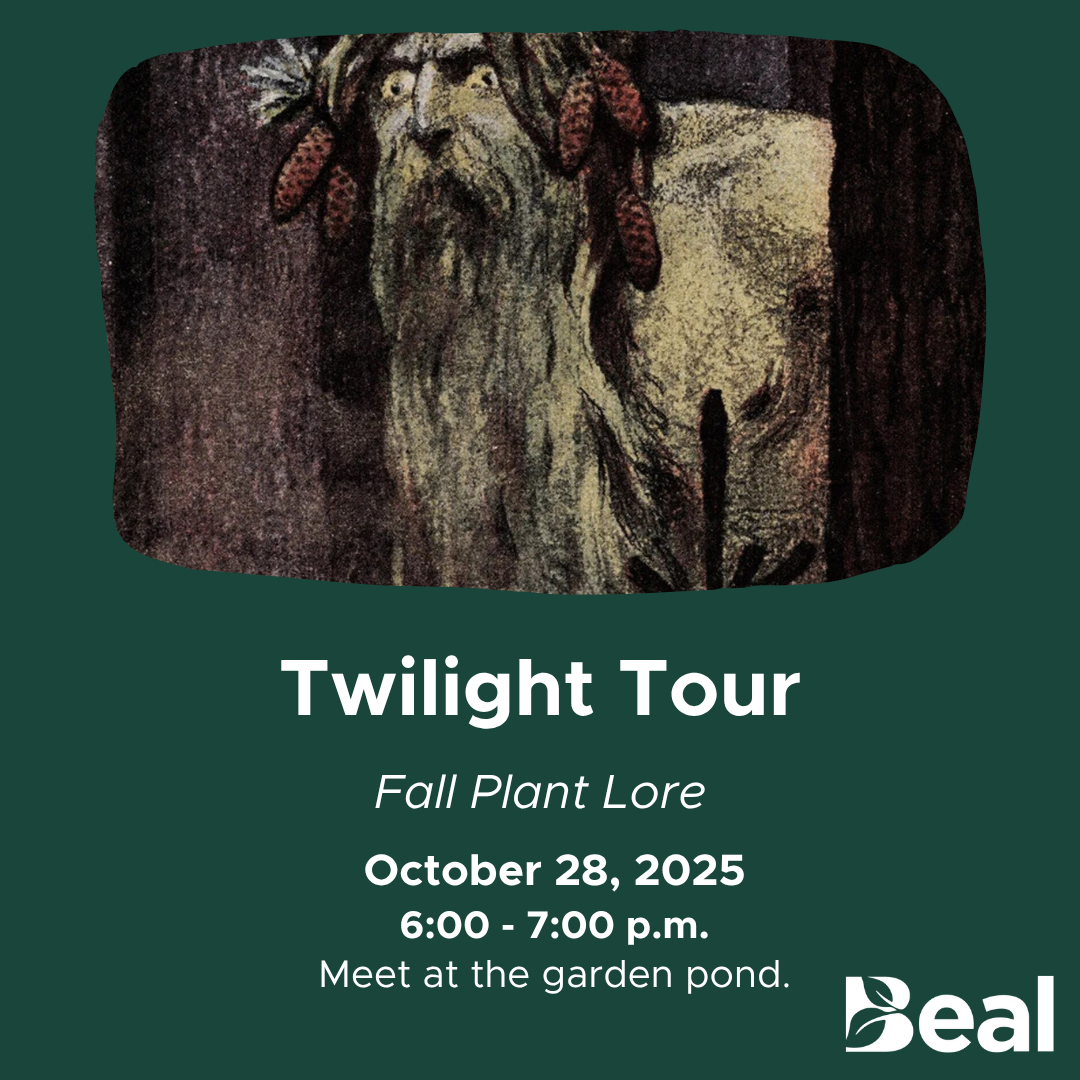 October 28 twilight tour