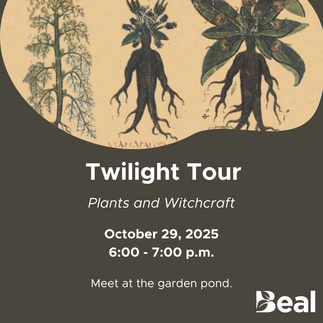 October 29 twilight tour