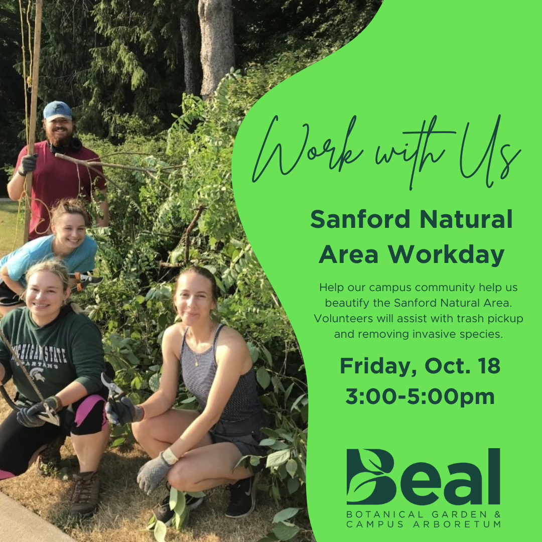 promotional graphic for a volunteer day showing a group of students around a pile of tree branches
