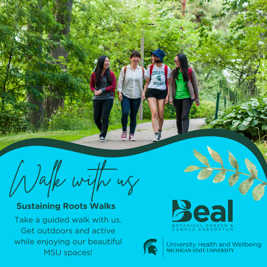 decorative graphic featuring a group of women walking along a wooded path reads, "Walk with us. Sustaining Roots Walks. Take a guided walk with us. Get outdoors and active while enjoying our beautiful MSU spaces!" Beal Botanical Garden and University Health and Wellbeing logos in the corner