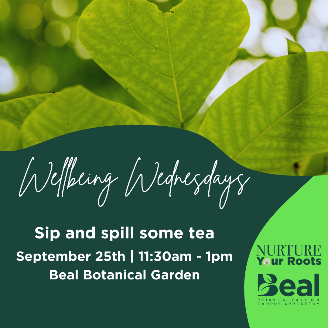 promotional graphic for Wellbeing Wednesdays featuring a heart-shaped leaf