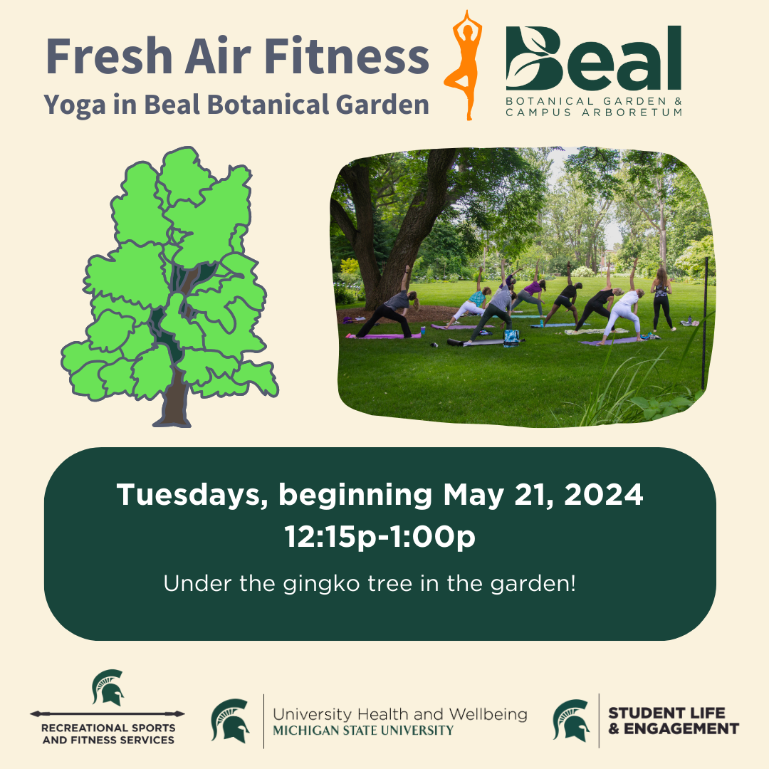 promotional graphic for yoga in a garden