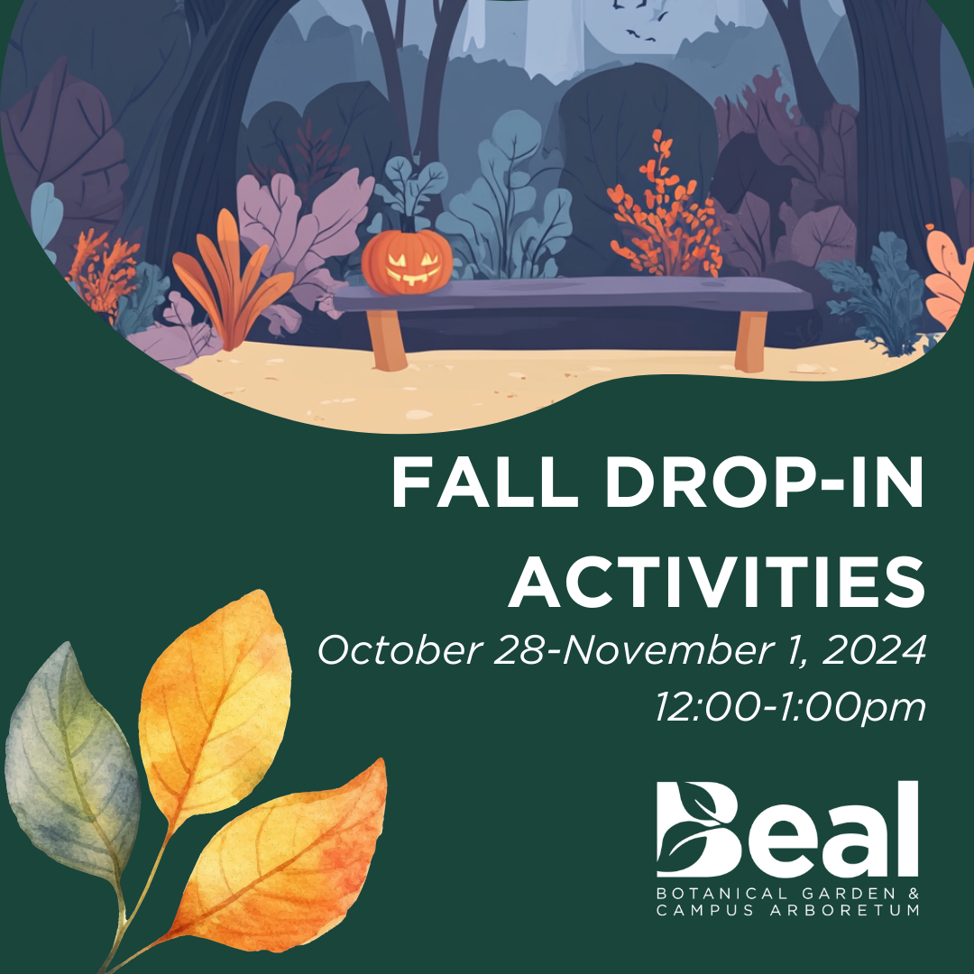 fall drop-in activity graphic