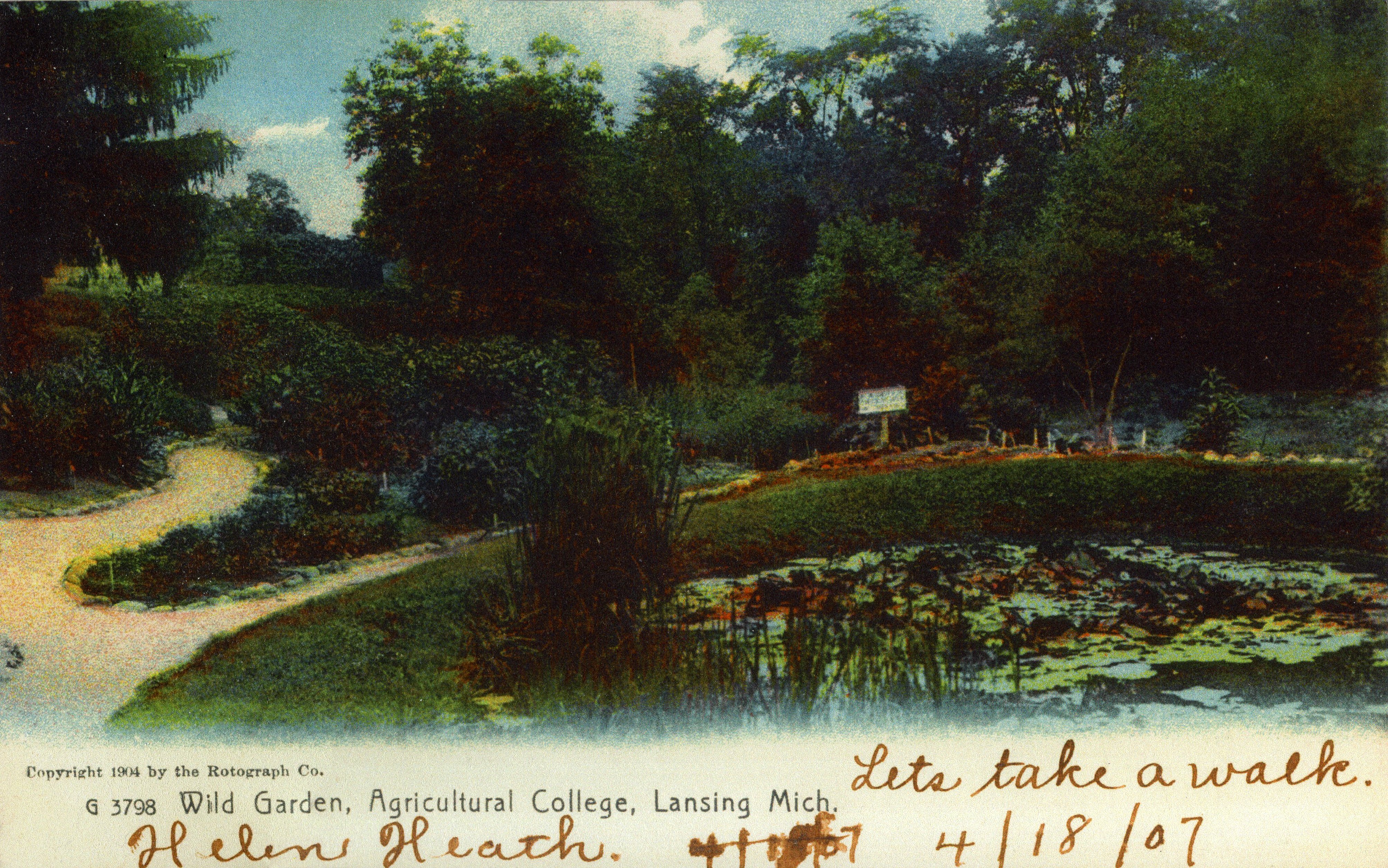 image of historical postcard of a garden pond, handwritten text at bottom reads "lets take a walk. Helen Heath. 4/18/07"