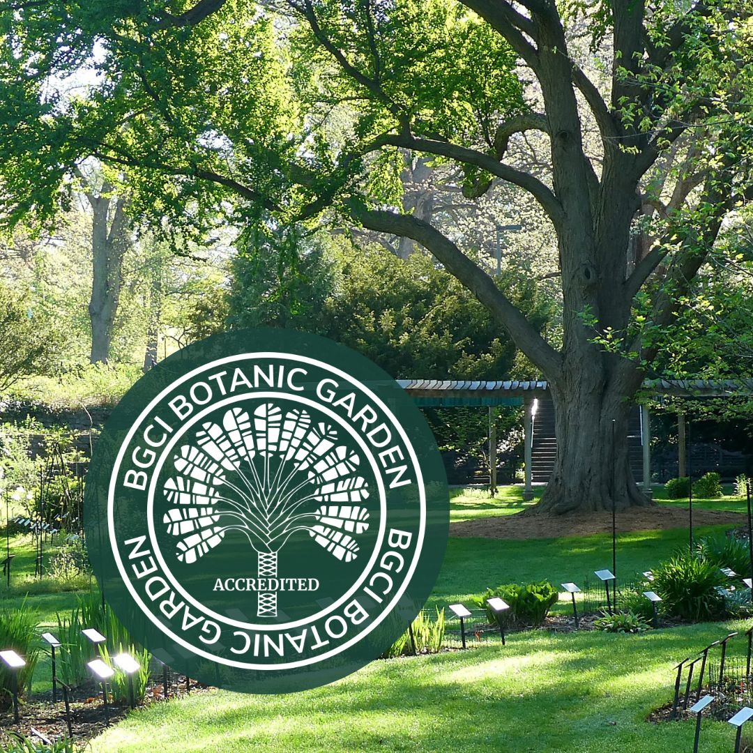 picture of a green garden with a large tree overlayed with a circular logo