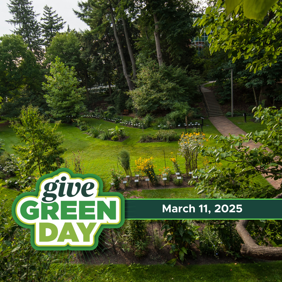 overhead photo of a garden with a "Give Green Day" logo in the bottom left corner with the date "March 11, 2025"