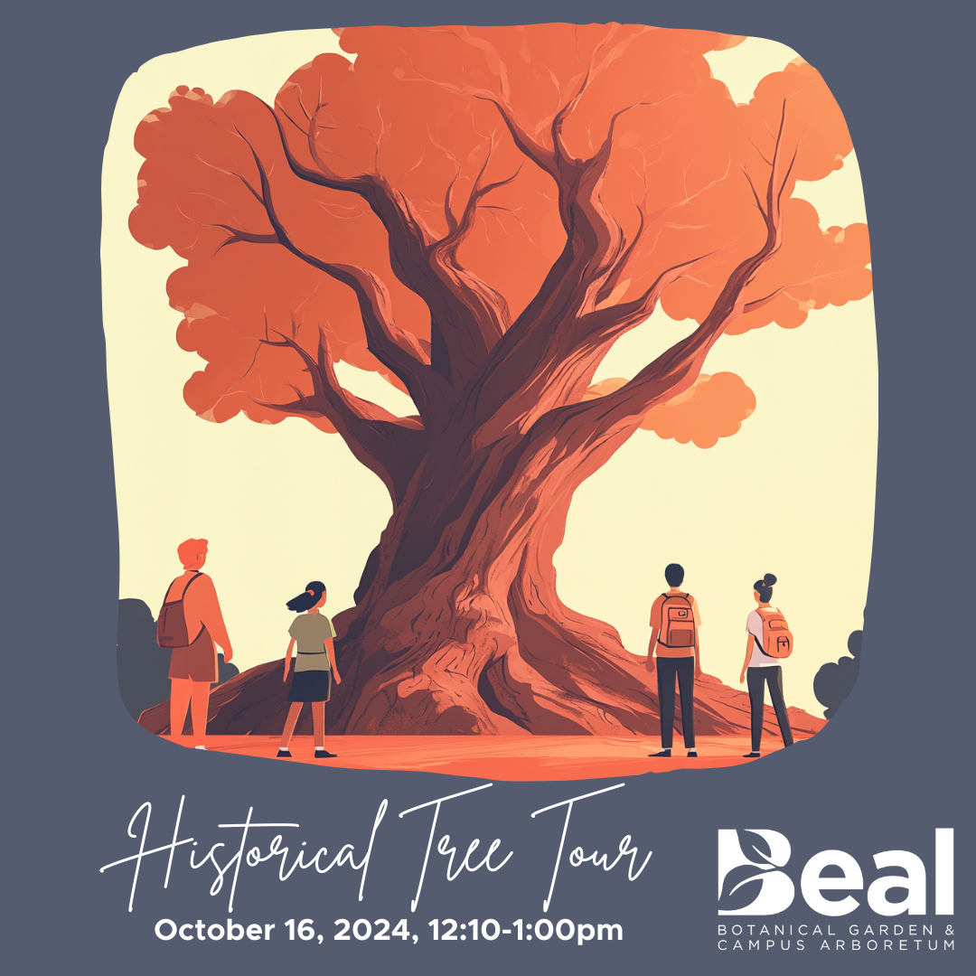 tree tour graphic