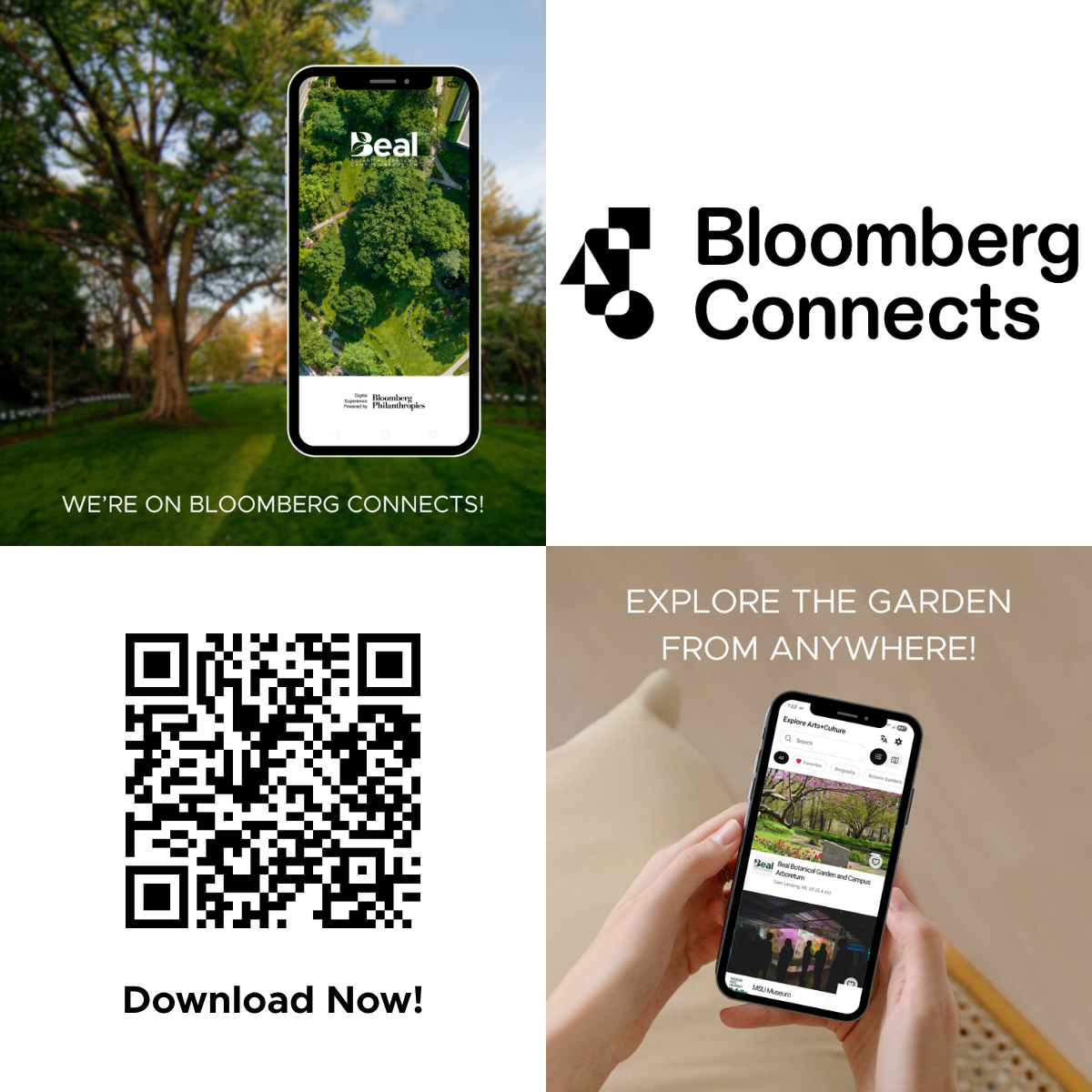 bloomberg website graphic