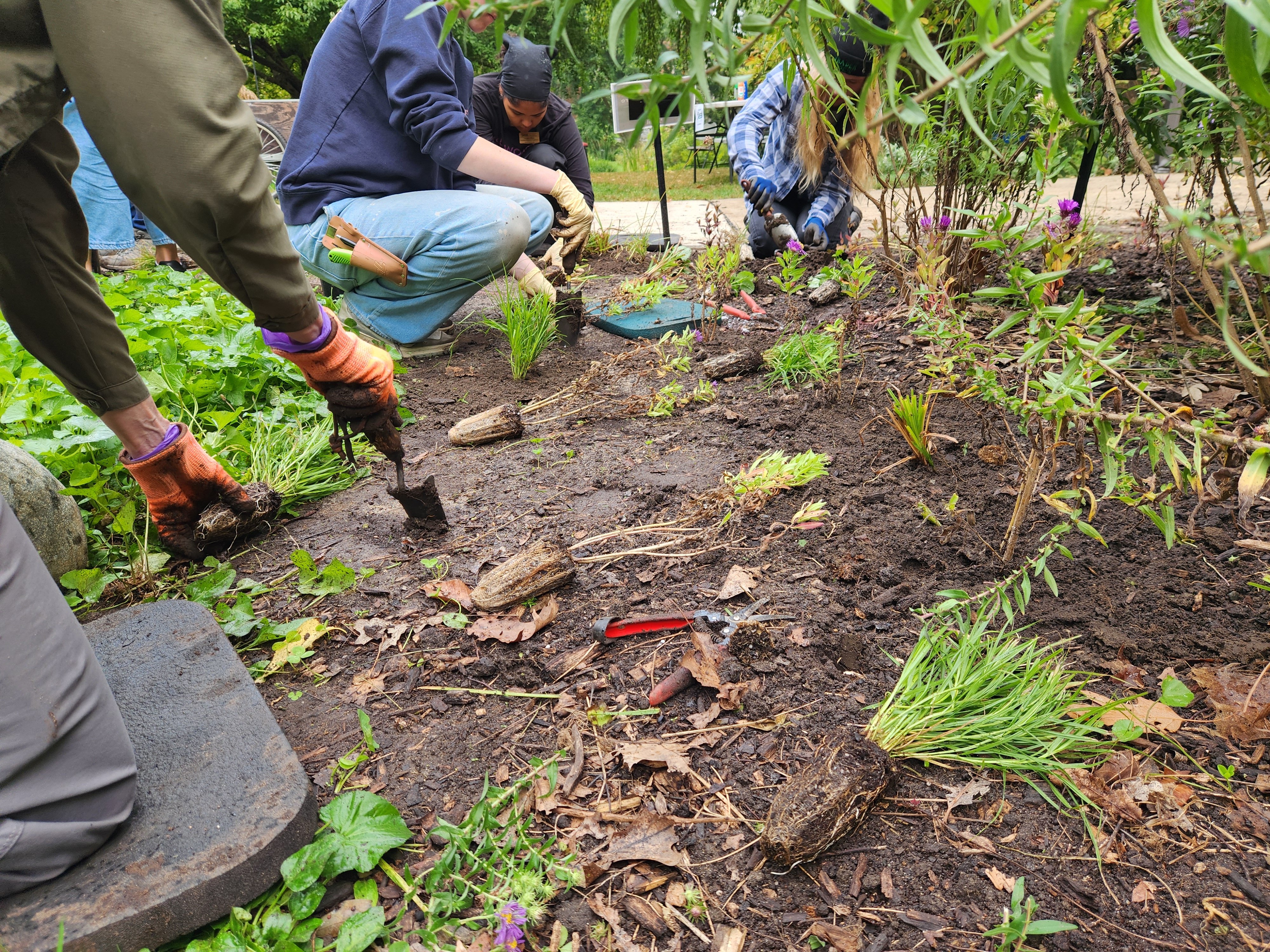 three people kneeling by a garden bed weeding