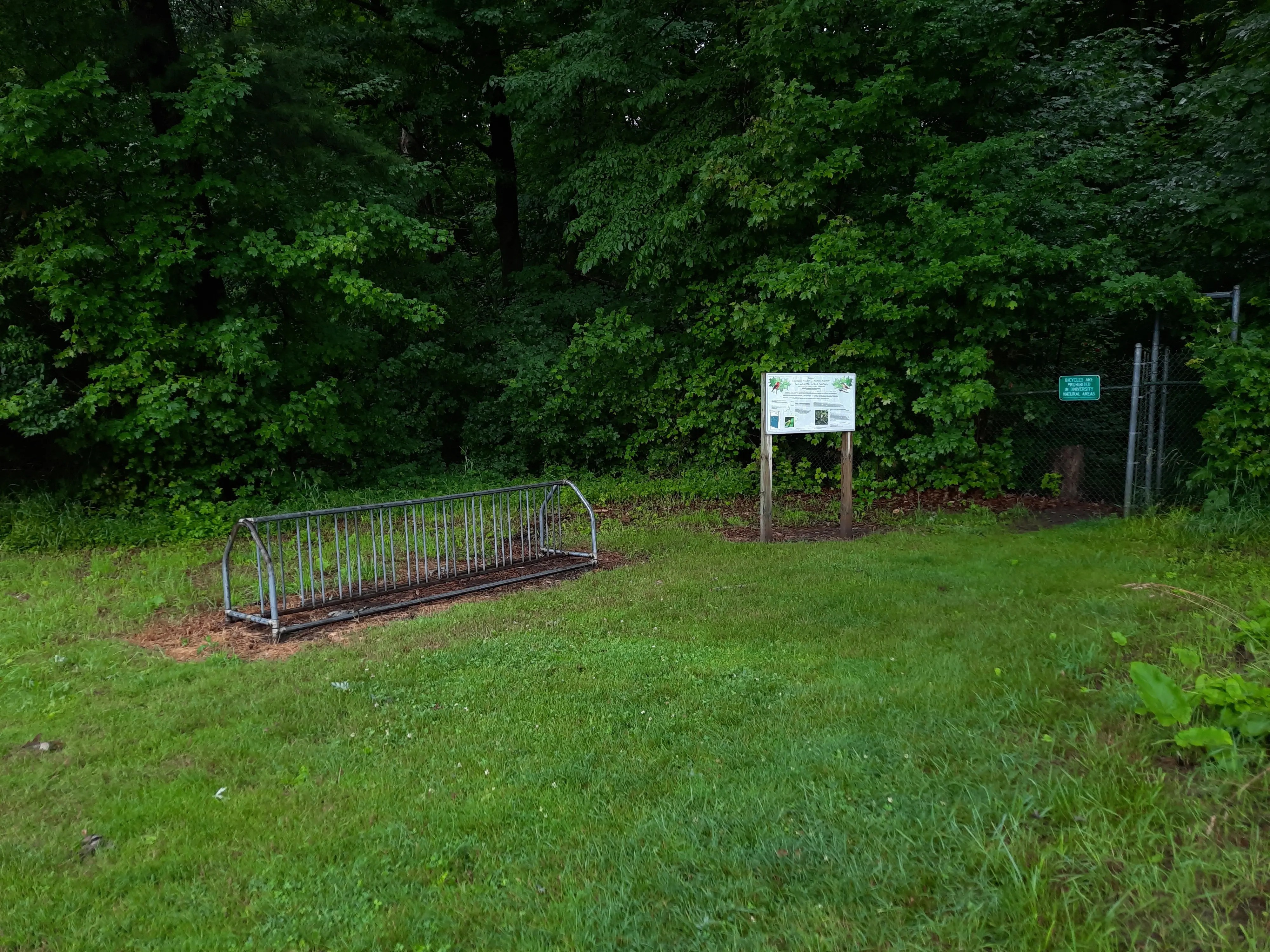 Baker Woodlot, Entrance 2