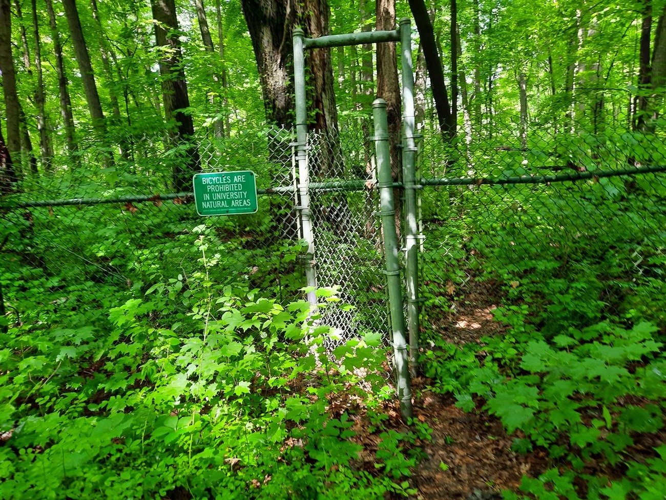 Baker Woodlot, Entrance 3, ZigZag, picture 3