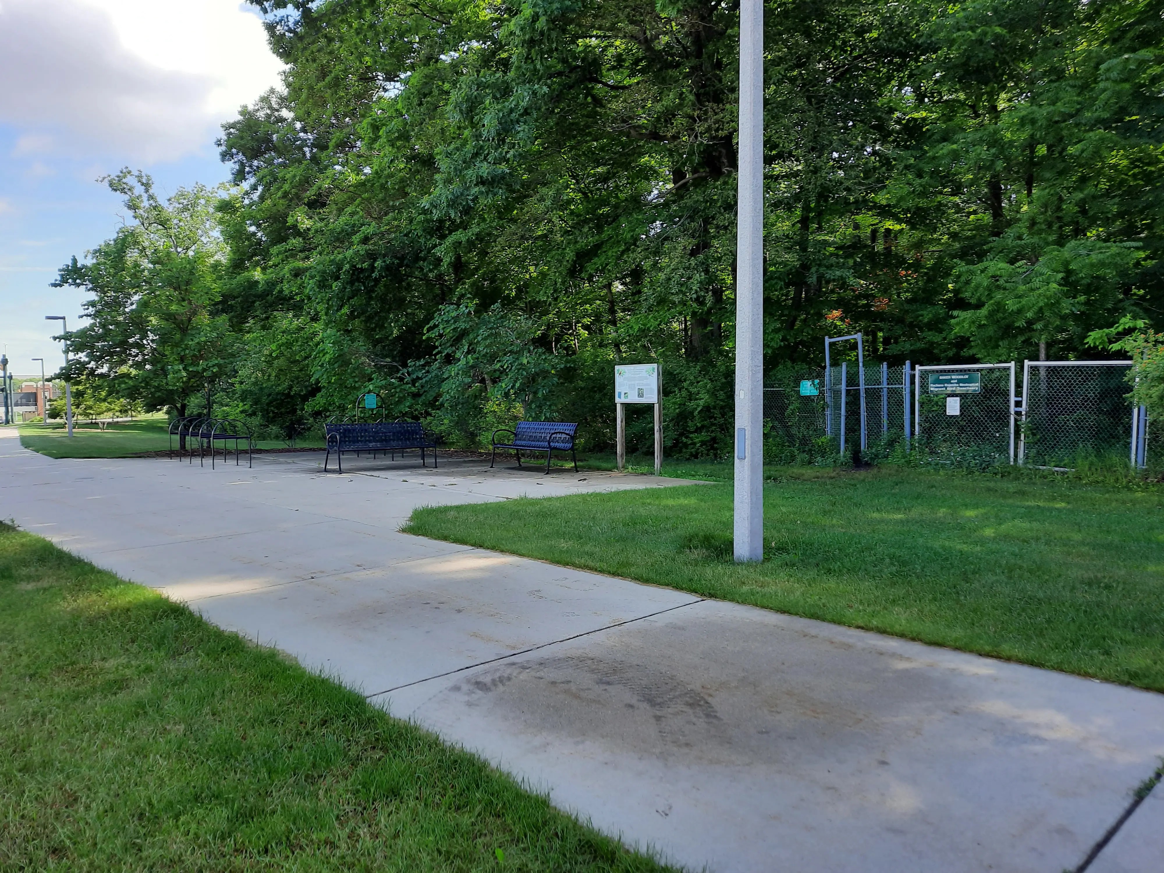 Baker Woodlot, Entrance 4