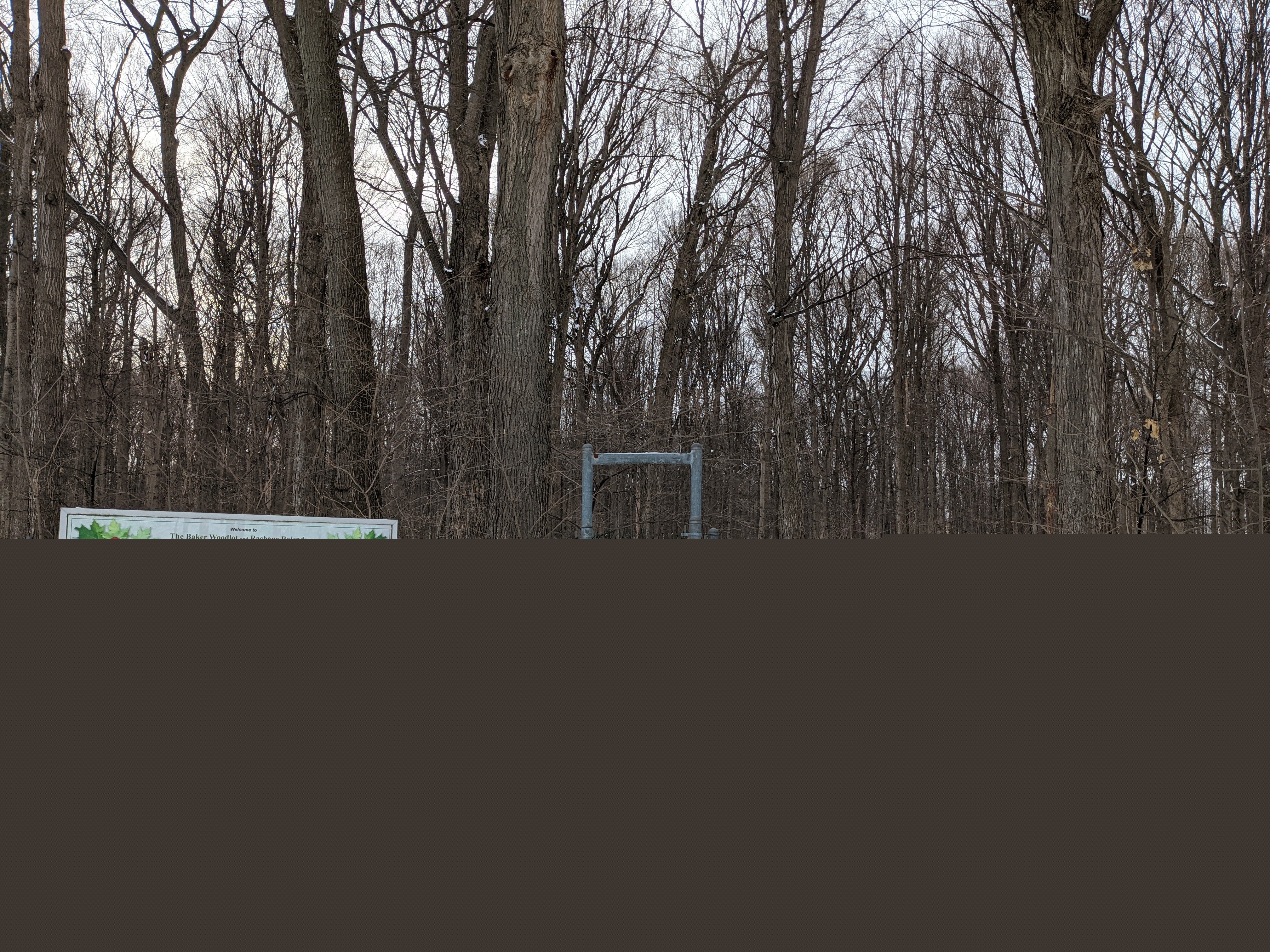 Baker Woodlot, entrance 1, winter