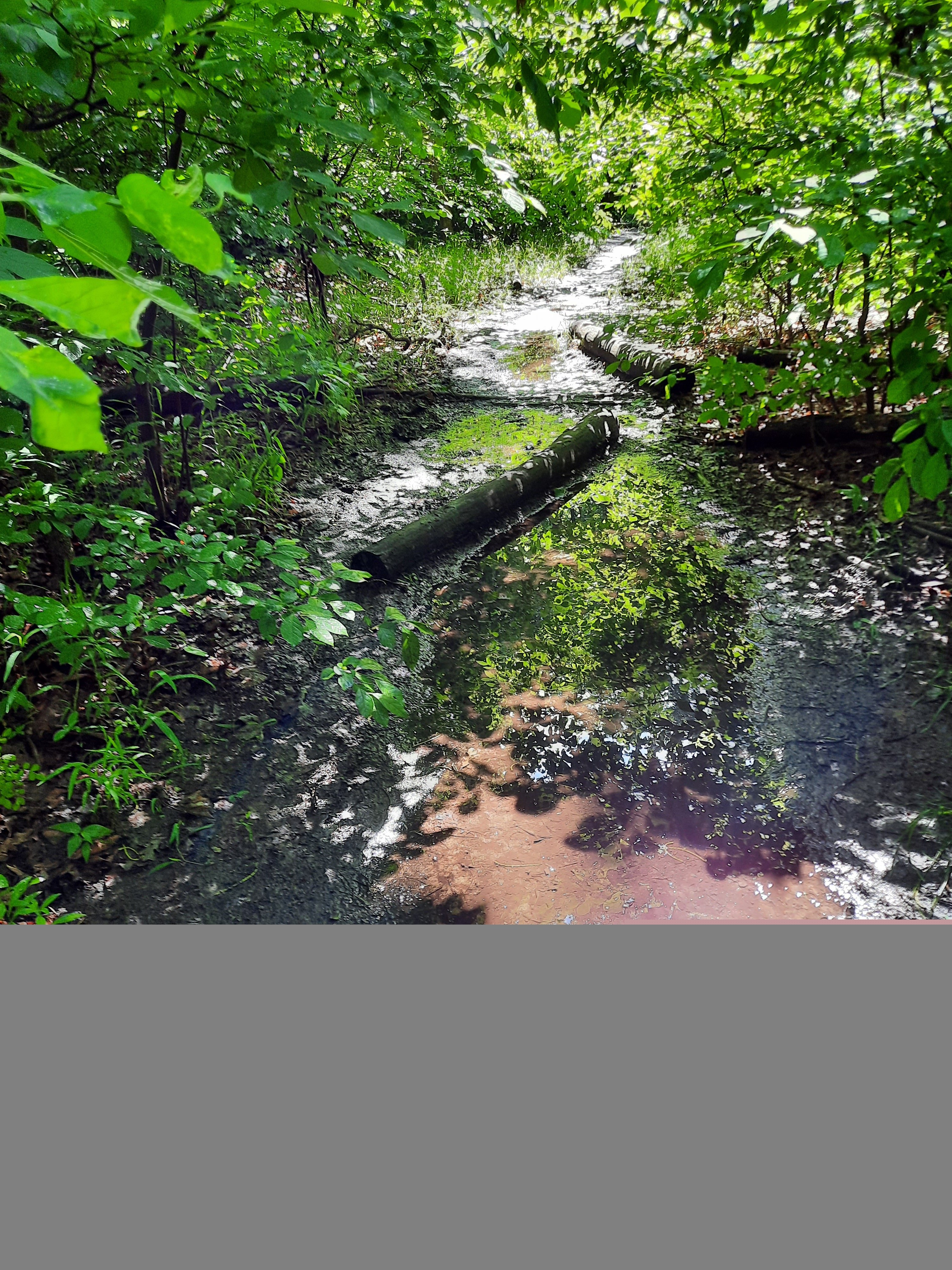 baker_trail3_obstructions_fixed