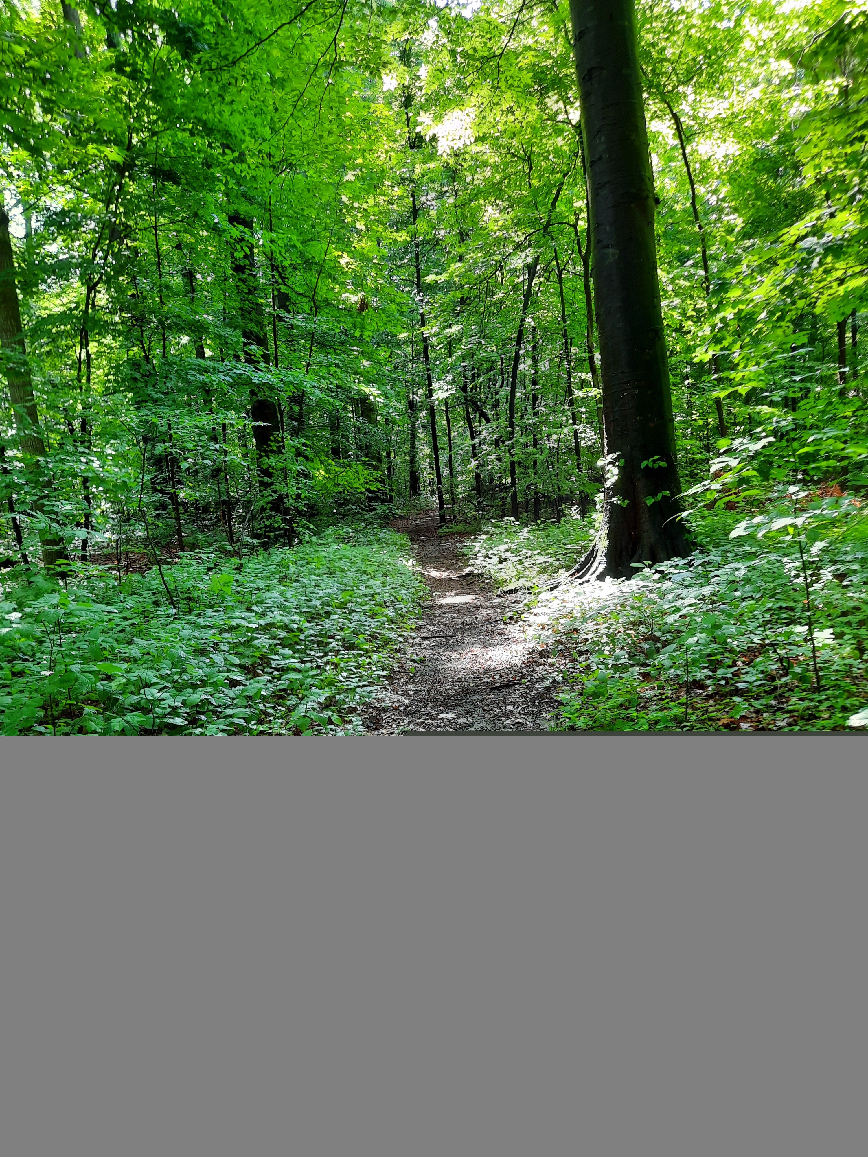 baker_trail_fixed