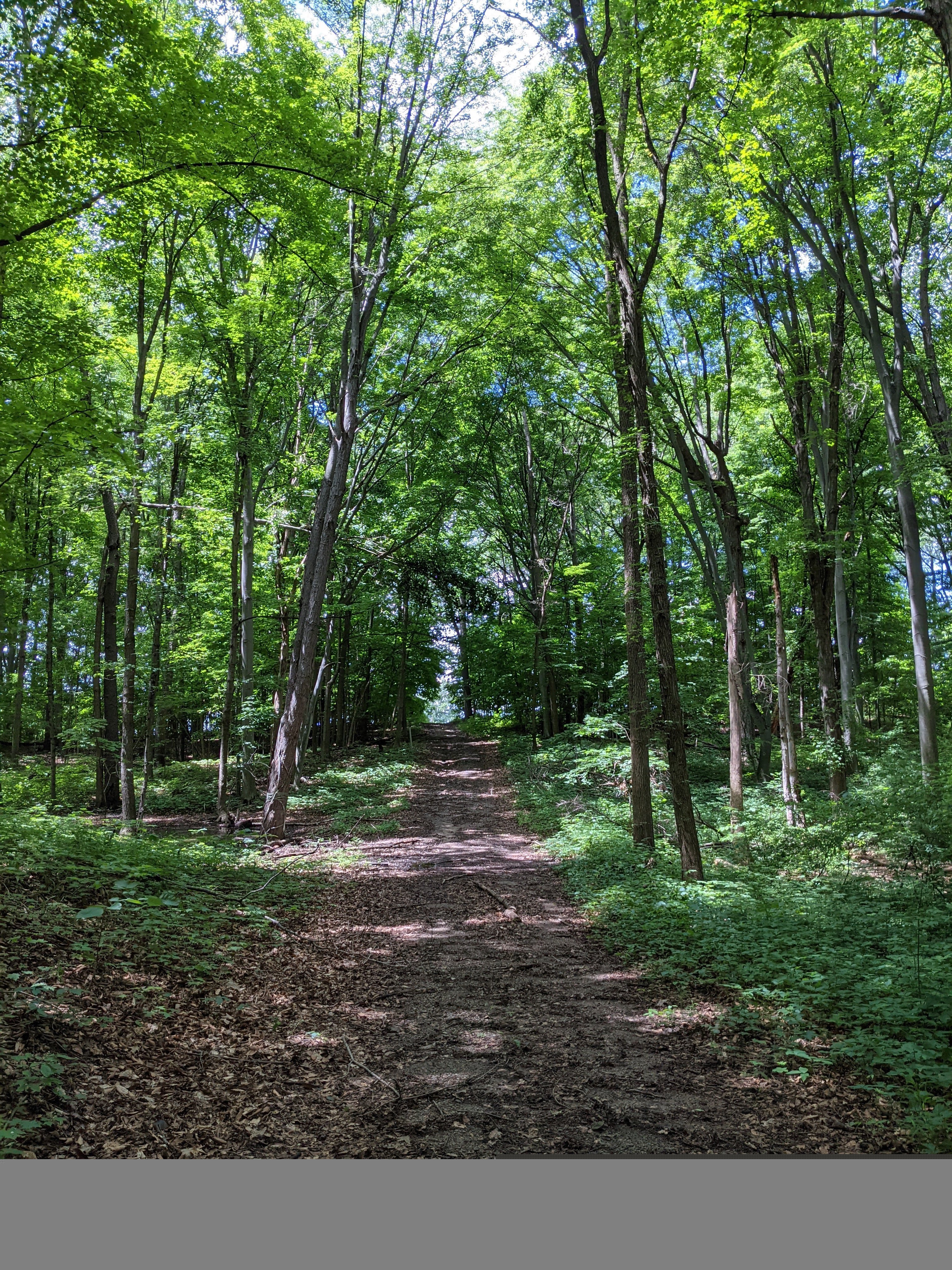 lott_Trail_fixed