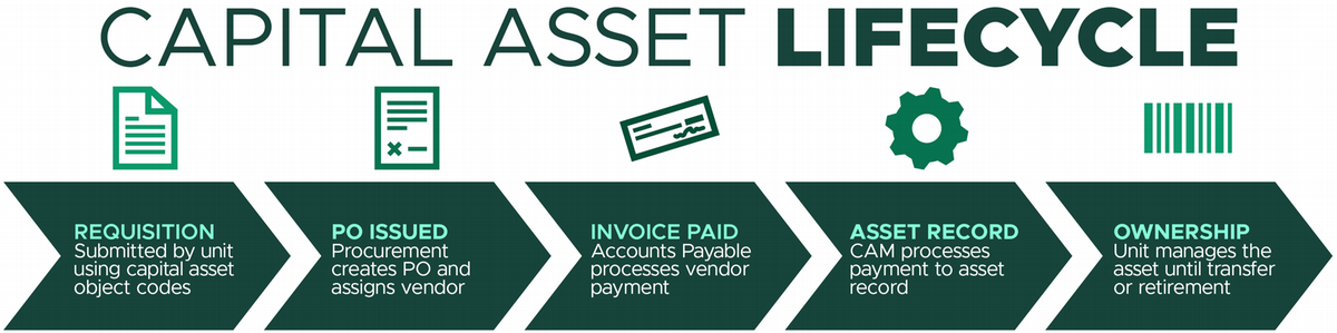 Infographic detailing the five stages of the capital asset lifecycle. Requisition submitted by department using capital asset object codes. PO issued by Procurement, including vendor selection. Invoice paid by Accounts Payable via PREQ. CAM receives PREQ document and creates the asset record. Ownership is granted to the department, who manages the asset until transfer or retirement.