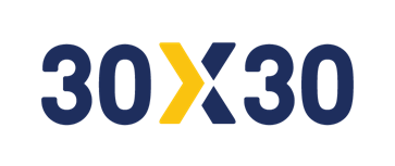 30x30 logo