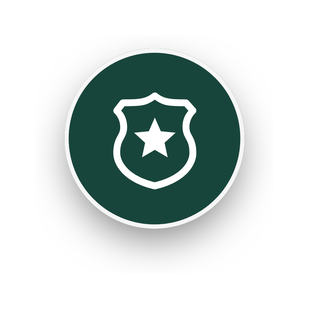 DPPS Icon