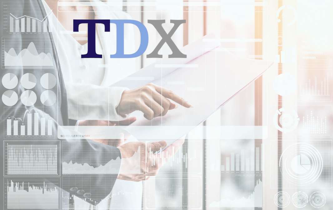 TDX logo fixed atop a project management background