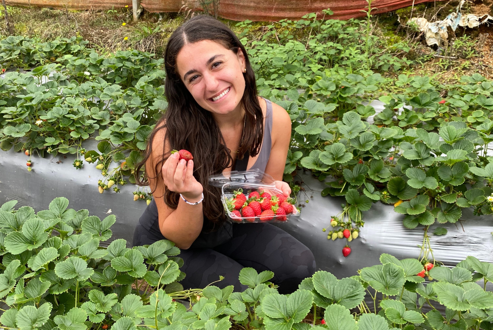 MSU College of Osteopathic Medicine Student Miranda Clinton in a Strawberry patch