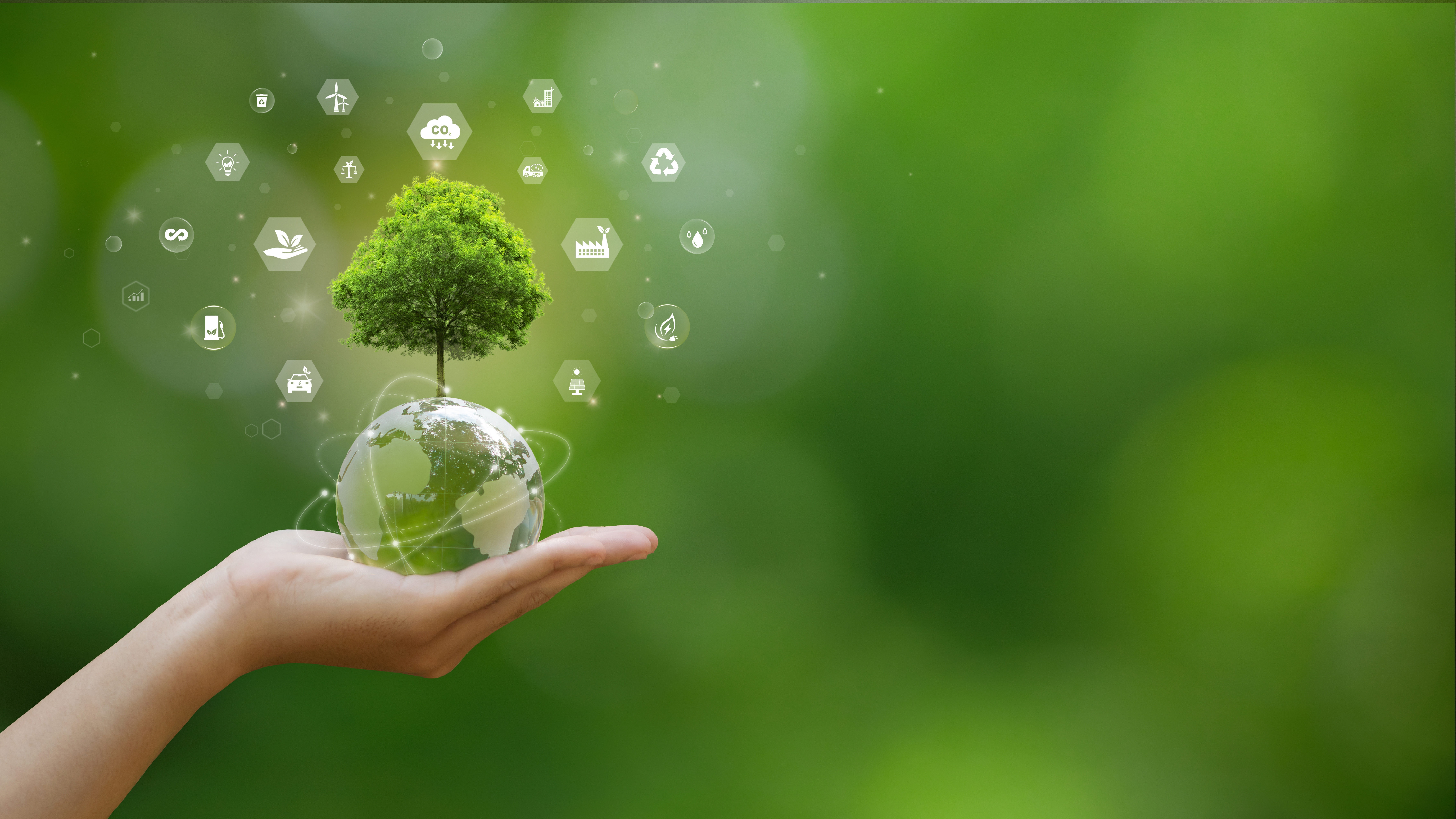 A hand holding up a miniature globe with a tree growing from the top.