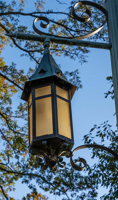 An old-fashioned lantern street light hangs in front of trees and a blue sky. 