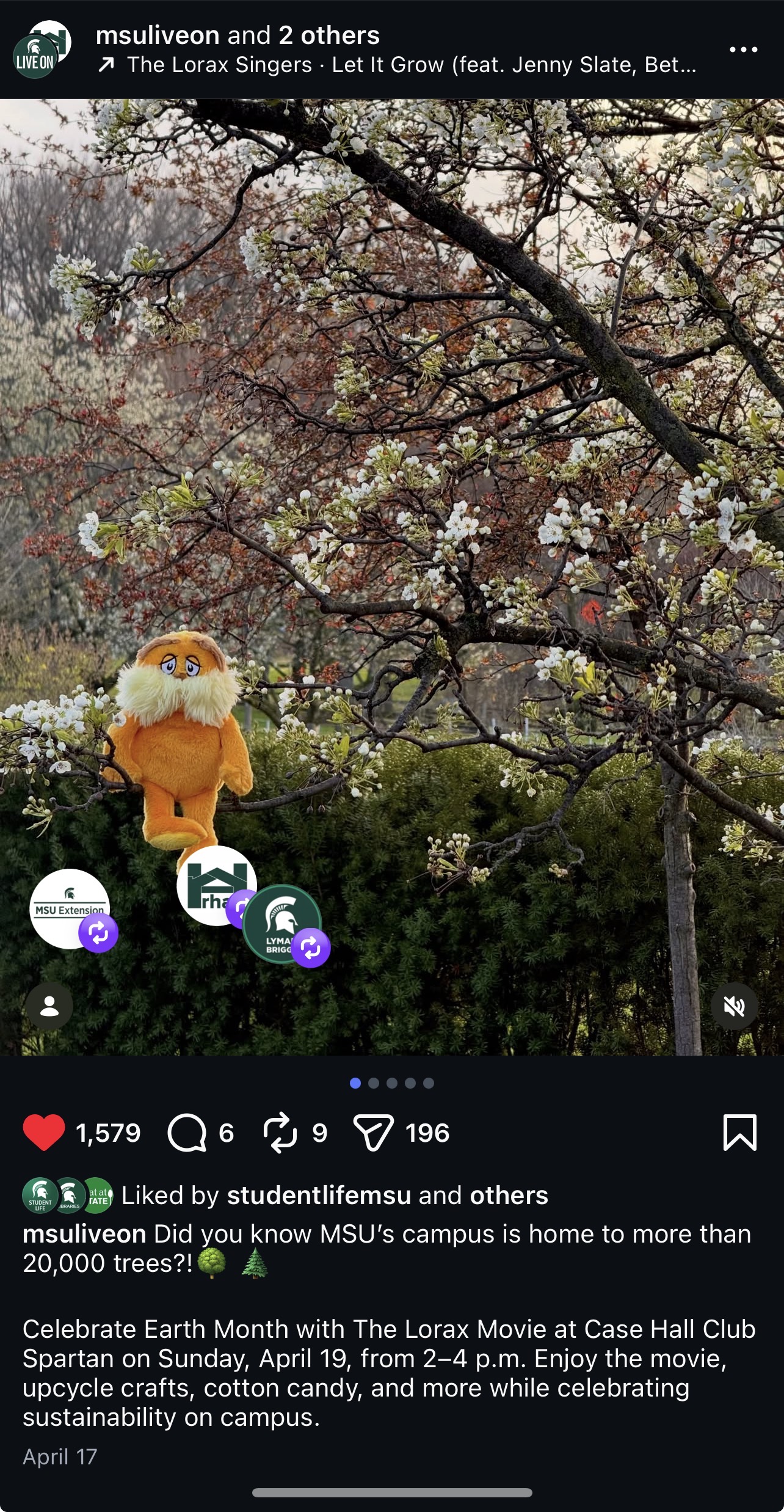 Screenshot of an MSU Live On post featuring a photo of a Lorax doll in a scene of campus trees. The caption discusses Earth montha nd the trees on campus, and advertises a showing of The Lorax Movie at Case Hall Club Spartan.