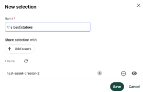 The selection creation panel shows a selection name (“the best statues”) and shared user settings. 