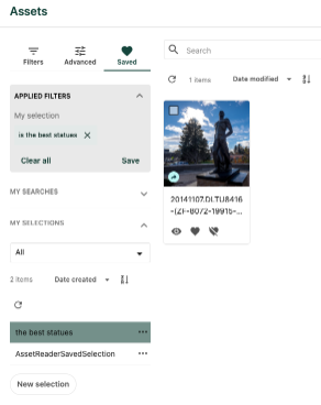 The asset has been added to the selection and now appears in the selection results when the saved selection is loaded. 