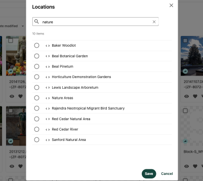 The search box within the MSU Locations taxonomy panel.