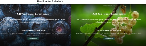 2-medium-example