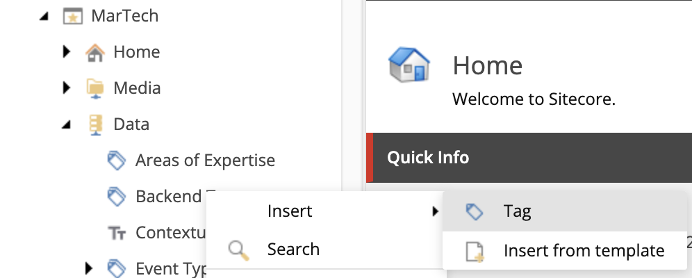 A screenshot showing the navigation tree with MarTech, then Data, then Backend Tags, then Insert and then Tag visible.