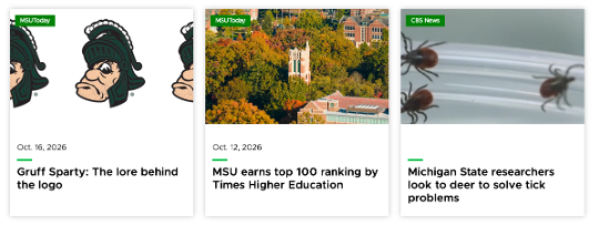 Three story cards appear in a row. The left story shows an MSUToday tag in the top left corner, an image of “Gruff Sparty,” small text reading “Oct. 16, 2026” above a short green line, and medium bold text reading “Gruff Sparty: The lore behind the logo.” The middle story shows an MSUToday tag in the top left corner, an aerial photo of Beaumont Tower surrounded by autumnal trees, small text reading “Oct. 12, 2026” above a short green line, and medium bold text reading “MSU earns top 100 ranking by Times Higher Education.” The right story shows a tag reading “CBS News” in the top left corner, a photo of three deer ticks above a small green line and medium bold text reading “Michigan State researchers look to deer to solve tick problems.” 