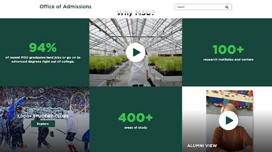 A screenshot of a grid component featuring a mix of facts, images and videos