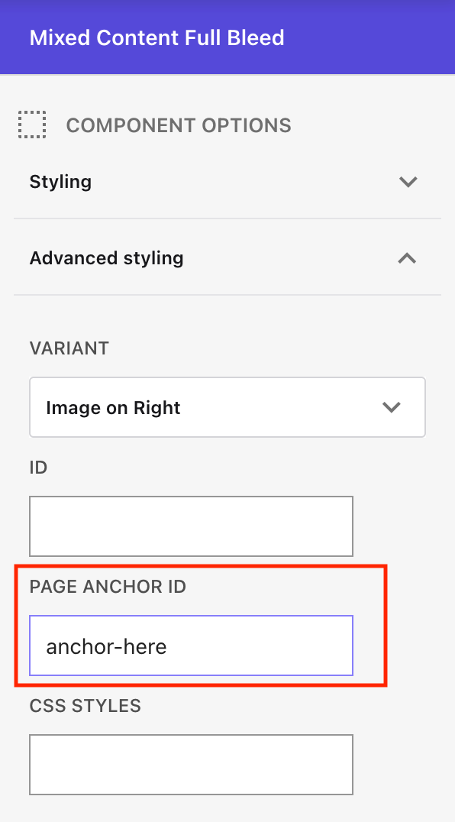 Screenshot of anchor creation panel