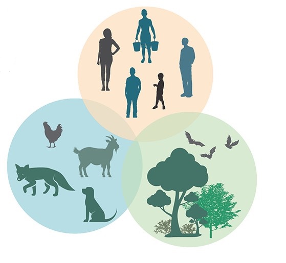 Three circles filled with animals, people, and trees in their respective circles