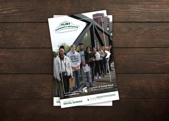 FCI-brochure-thumb