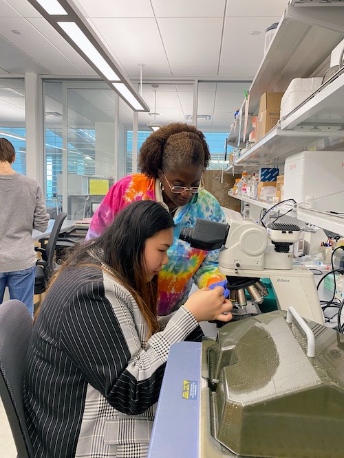 final-katrina-and-jiaming-working-in-lab-copy
