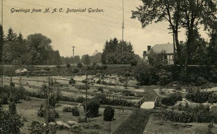 Picture of the old Beal Gardens.