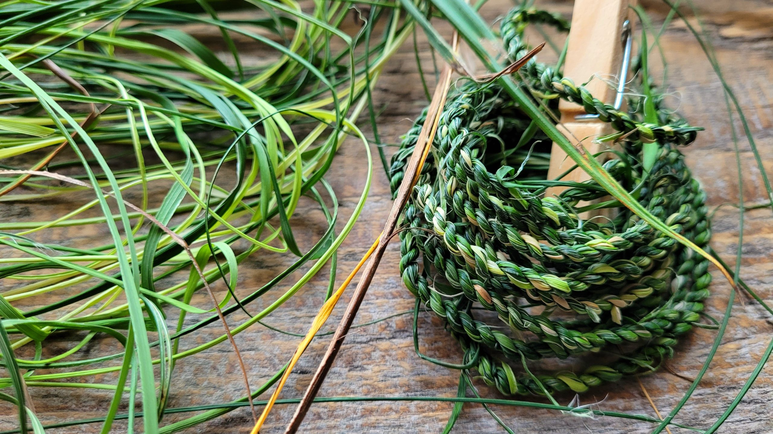 A rope made of plant fibers.