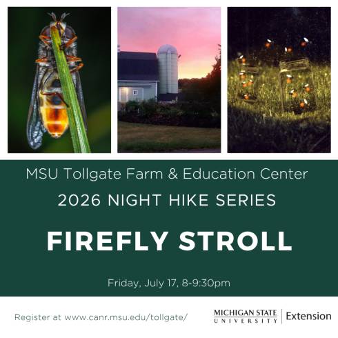 Flyer for tollgate farm firefly stroll.