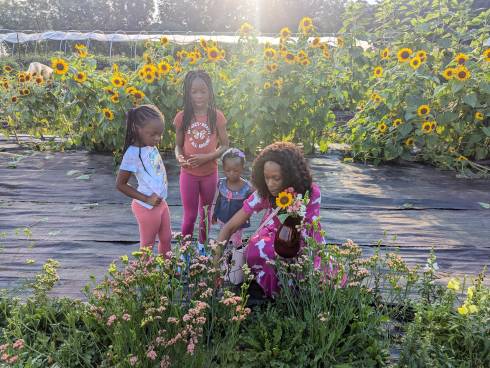 family picking sunflowers
